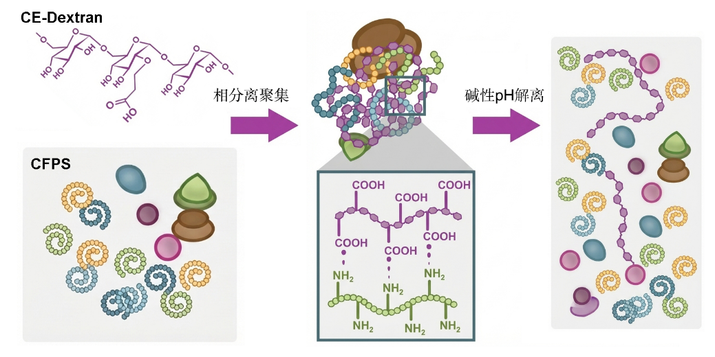 1764659999240191.png 图片1.png