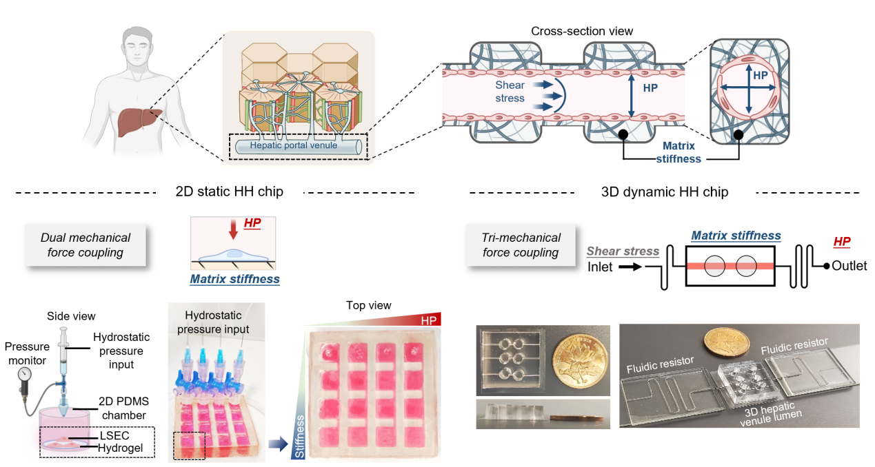 1765332536660336.png 图片1.png